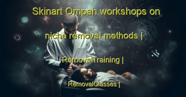 Skinart Ompah workshops on niche removal methods | RemovalTraining | RemovalClasses | SkinartTraining-Canada